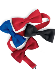 Satin Banded Bow Tie
